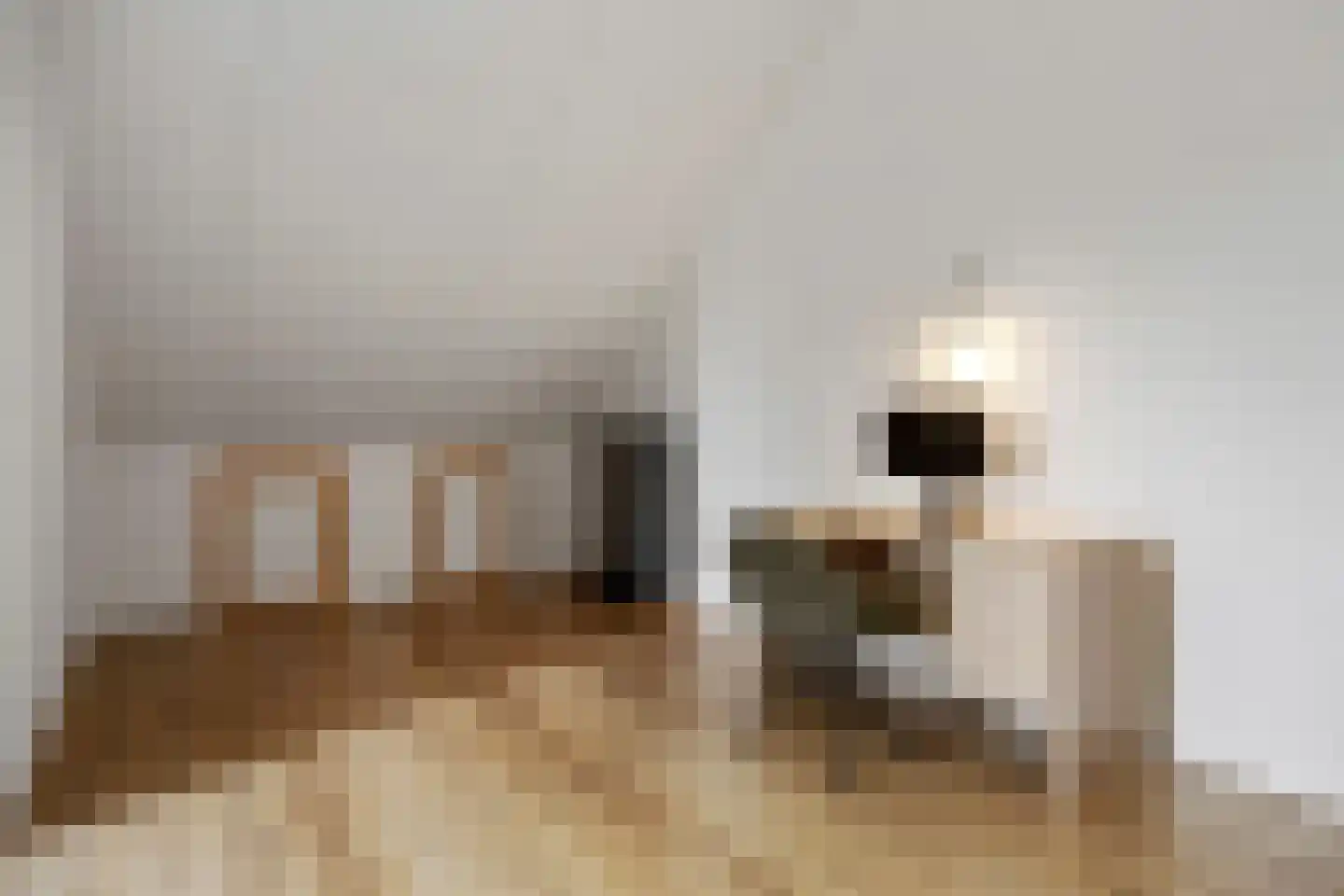 D'n Bens 39 Langenboom thumbnail 27