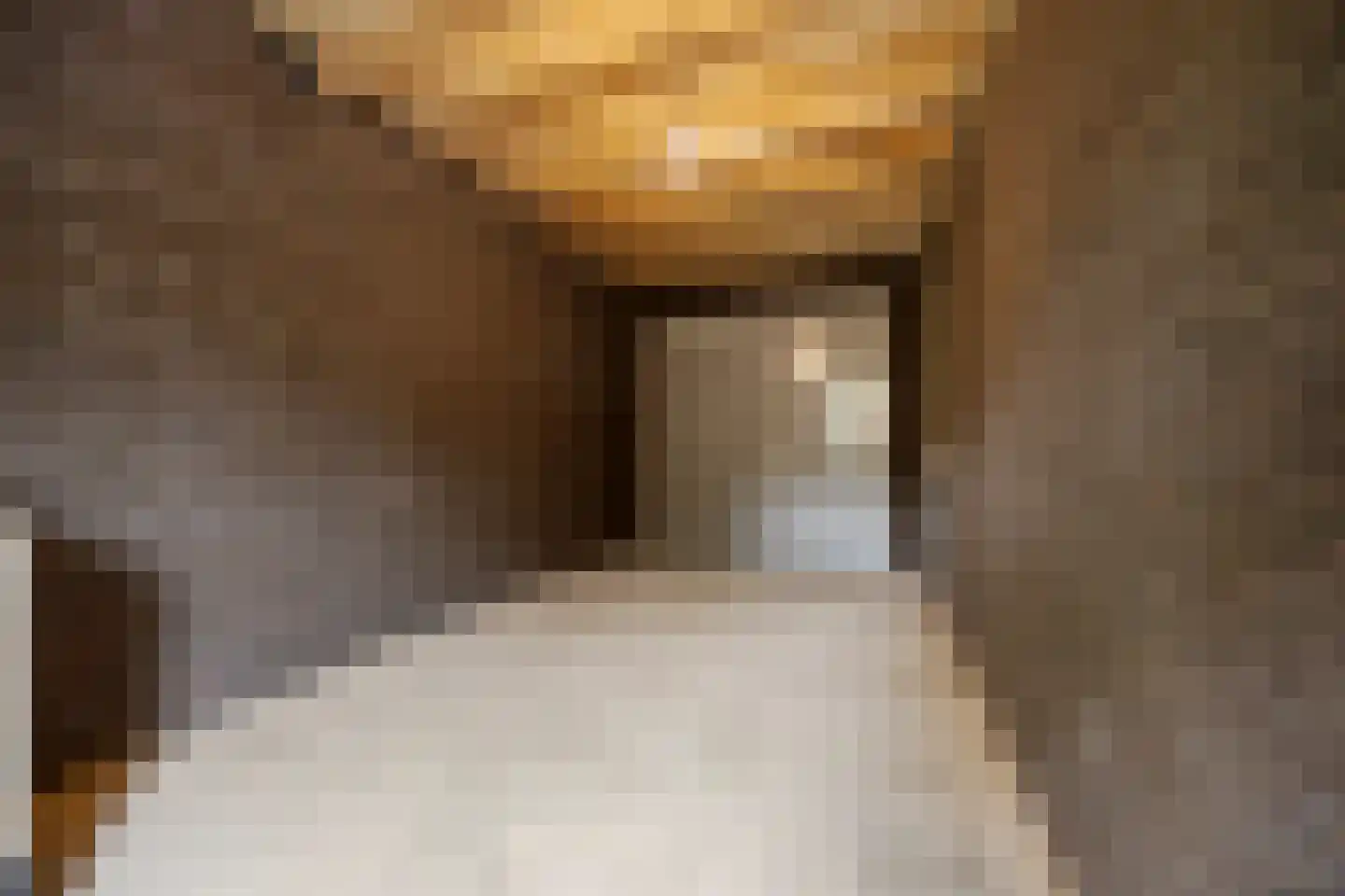 D'n Bens 39 Langenboom thumbnail 33