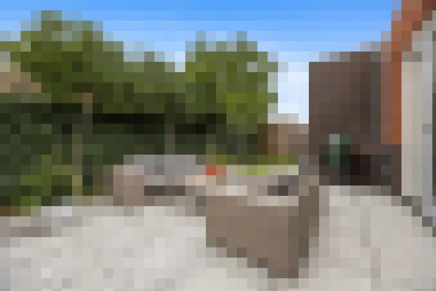 D'n Bens 39 Langenboom thumbnail 5