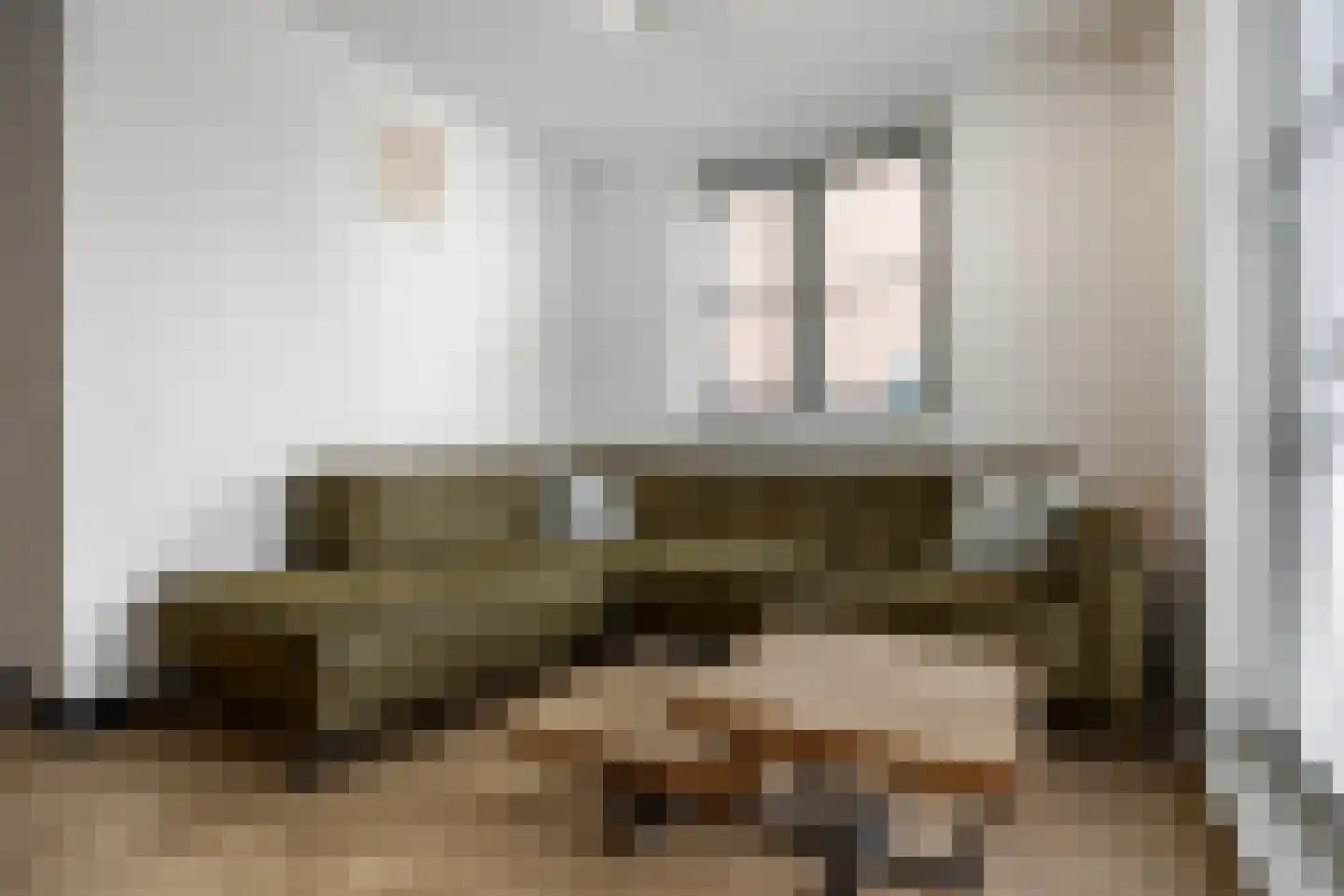 D'n Bens 39 Langenboom thumbnail 8