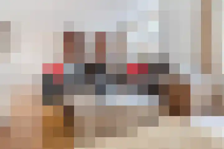 D'n Dries 3 Erp thumbnail 12