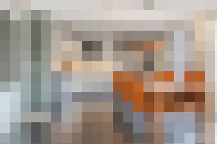 D'n Dries 3 Erp thumbnail 16