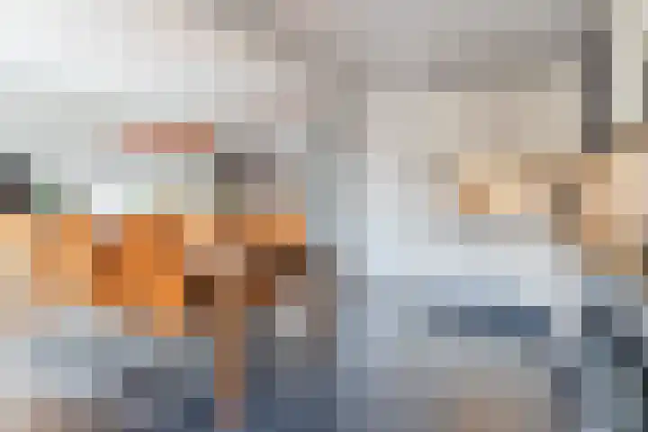 D'n Dries 3 Erp thumbnail 18
