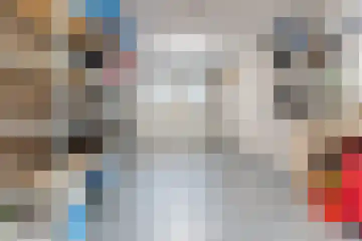 D'n Dries 3 Erp thumbnail 25