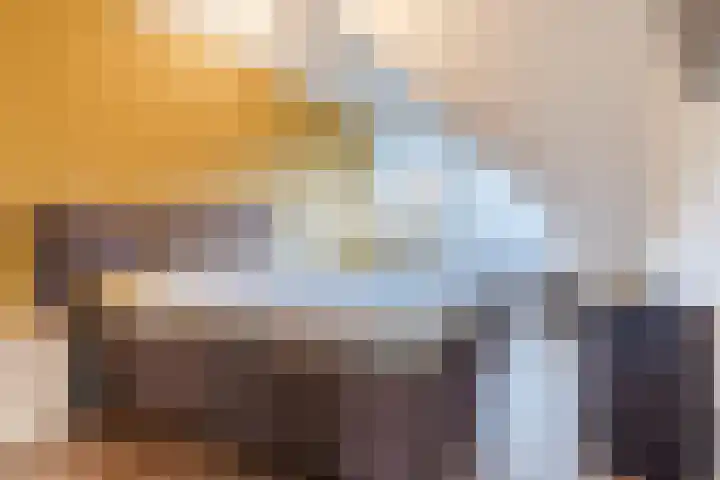 D'n Dries 3 Erp thumbnail 29