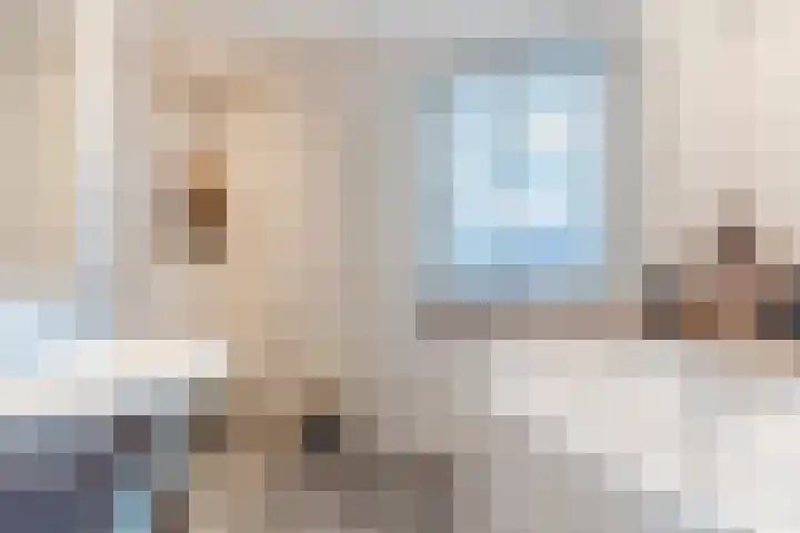 D'n Dries 3 Erp thumbnail 35