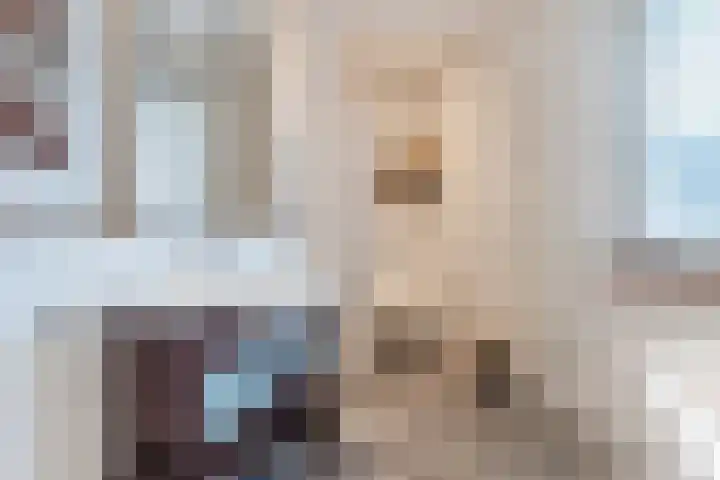 D'n Dries 3 Erp thumbnail 36