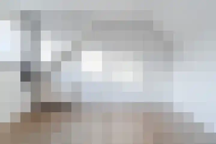 D'n Dries 3 Erp thumbnail 39
