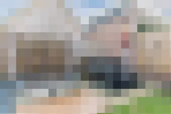 D'n Dries 3 Erp thumbnail 44