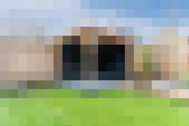 D'n Dries 3 Erp thumbnail 45