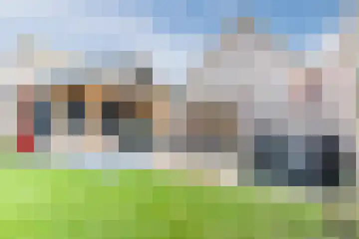 D'n Dries 3 Erp thumbnail 46