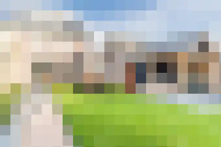 D'n Dries 3 Erp thumbnail 47