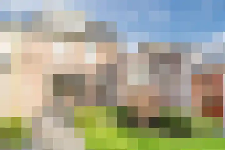 D'n Dries 3 Erp thumbnail 48