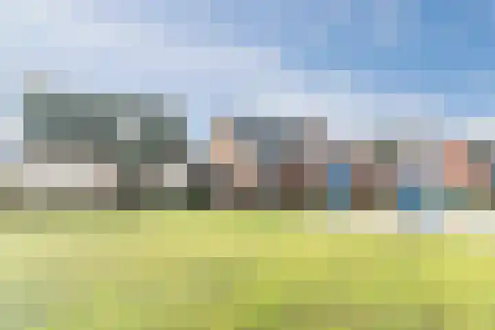 D'n Dries 3 Erp thumbnail 49