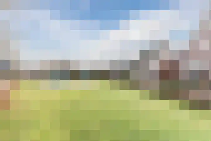 D'n Dries 3 Erp thumbnail 50