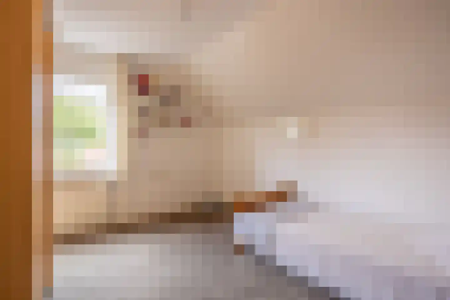 D'n Duyp 11 Moergestel thumbnail 25