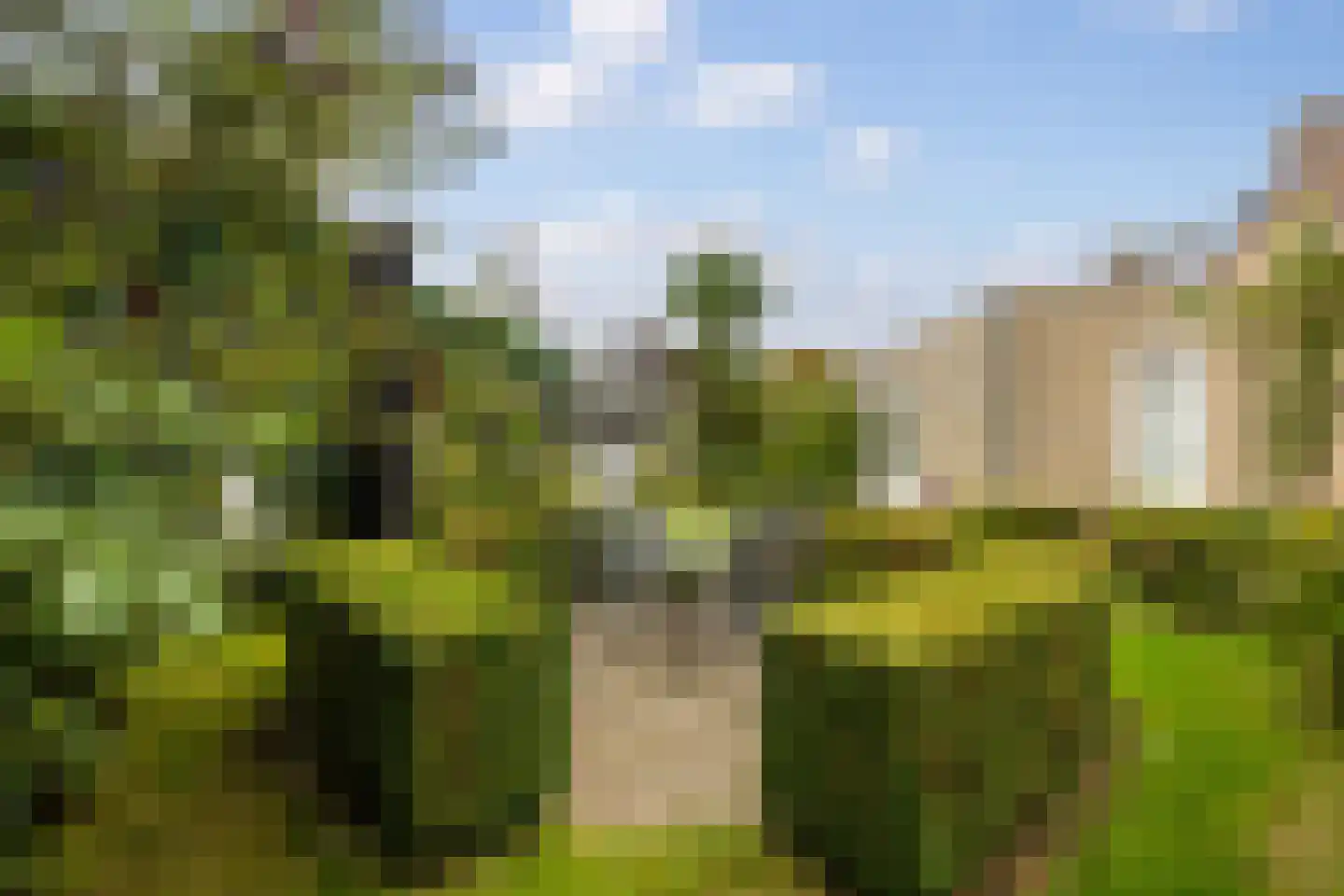 D'n Duyp 11 Moergestel thumbnail 32