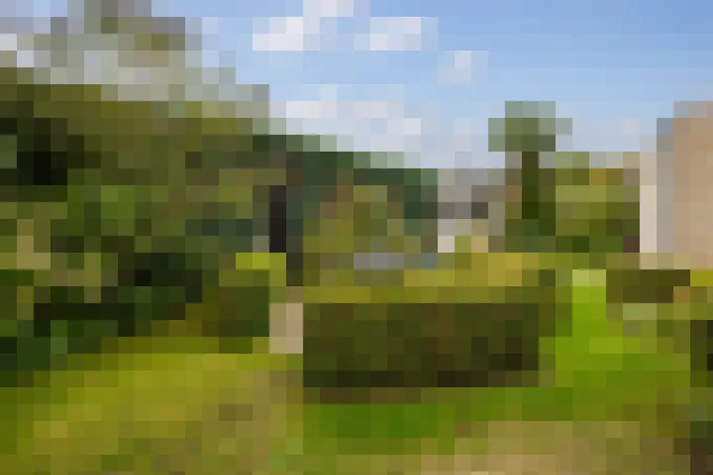 D'n Duyp 11 Moergestel thumbnail 34