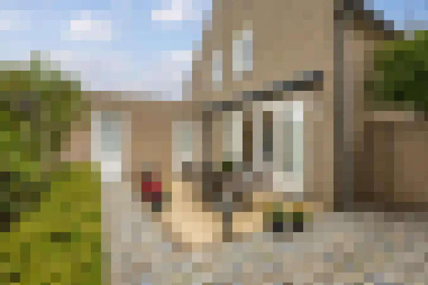 D'n Duyp 11 Moergestel thumbnail 35