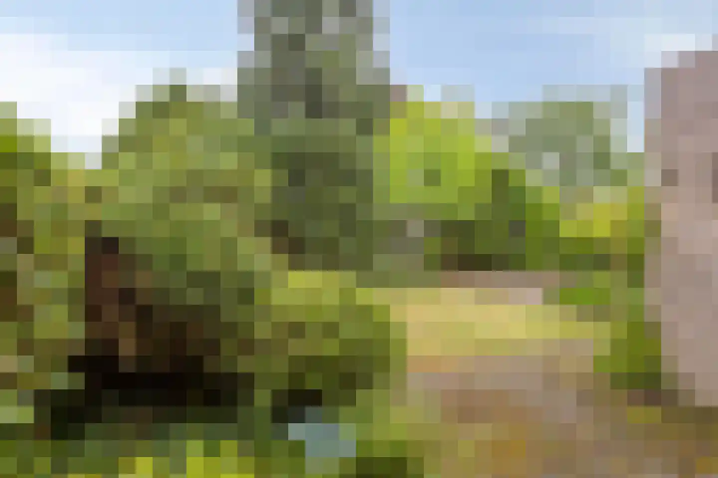 D'n Duyp 18 Moergestel thumbnail 29