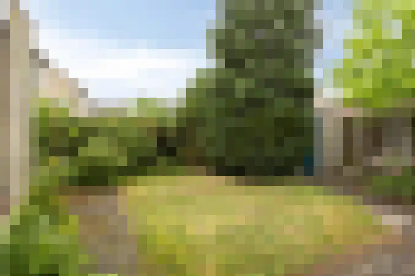 D'n Duyp 18 Moergestel thumbnail 31