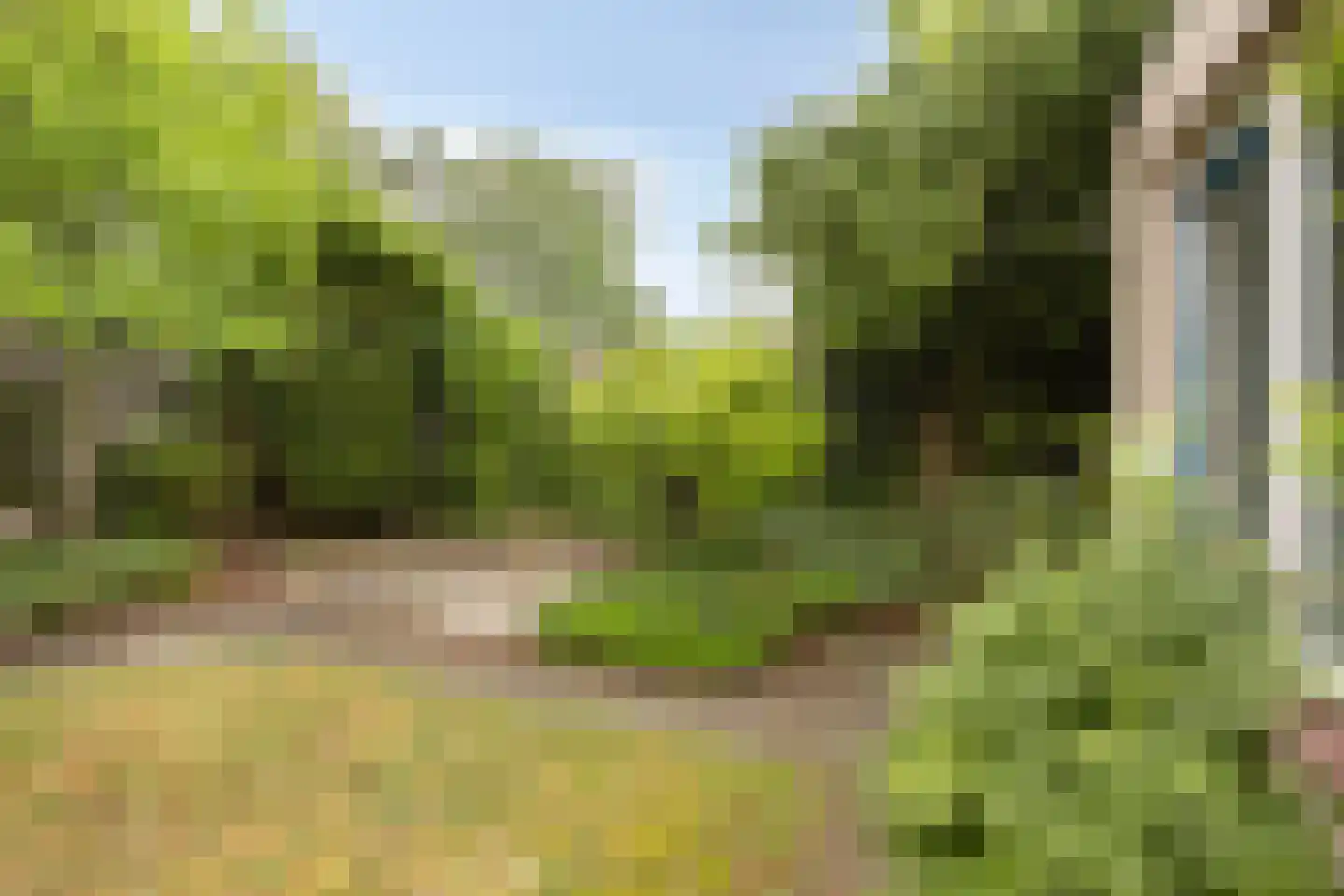 D'n Duyp 18 Moergestel thumbnail 6