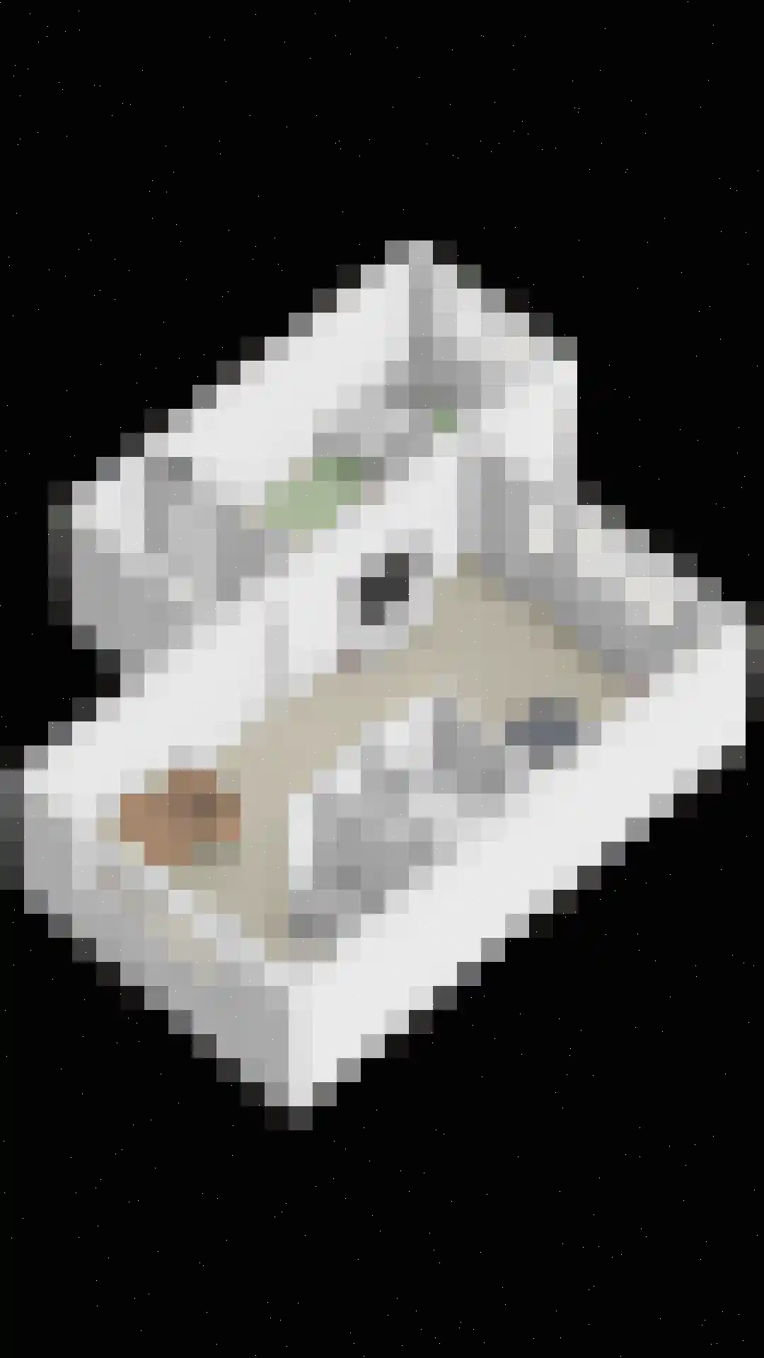 D'n Duyp 28 Moergestel thumbnail 39
