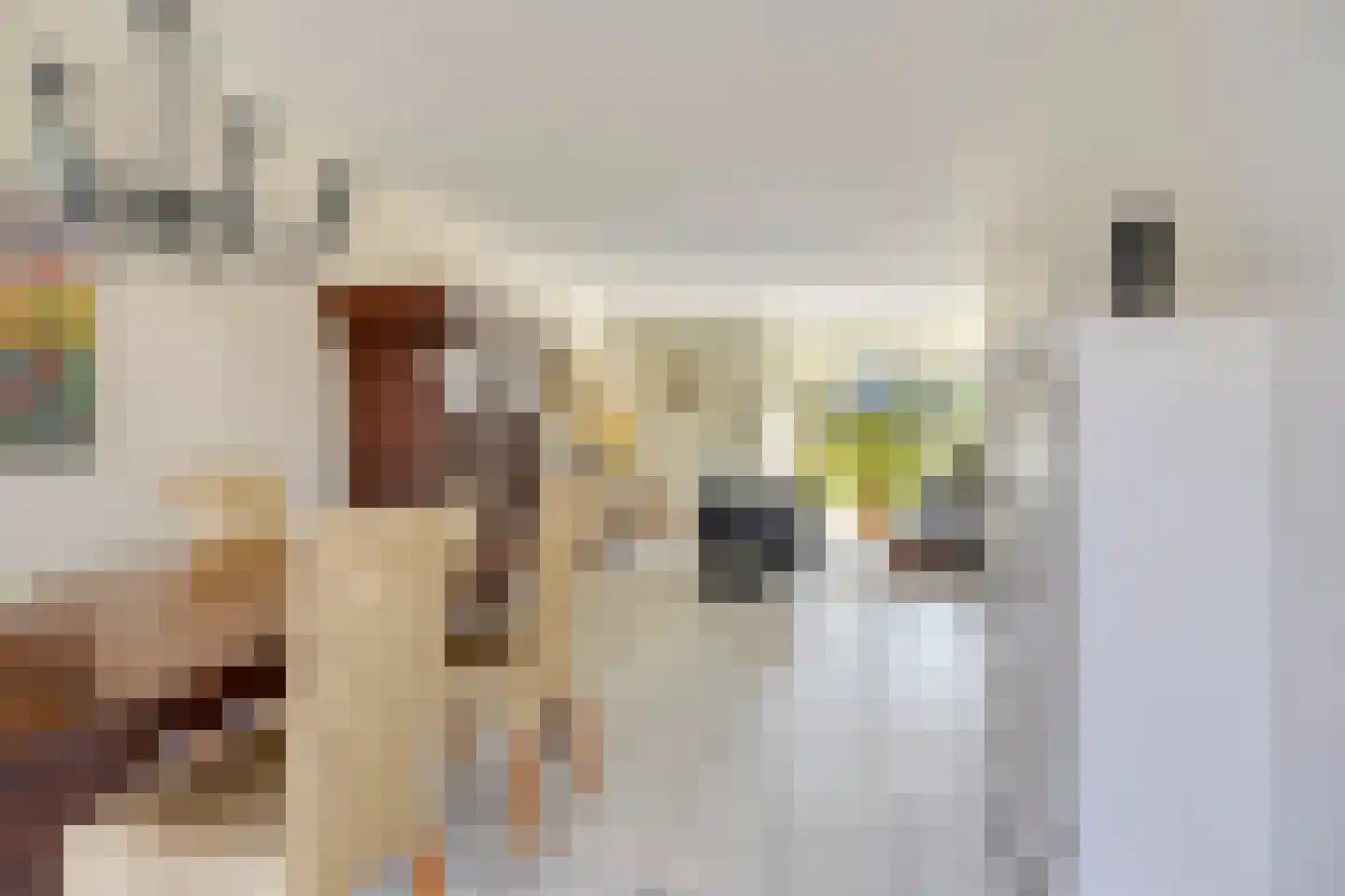 D'n Duyp 8 Moergestel thumbnail 10