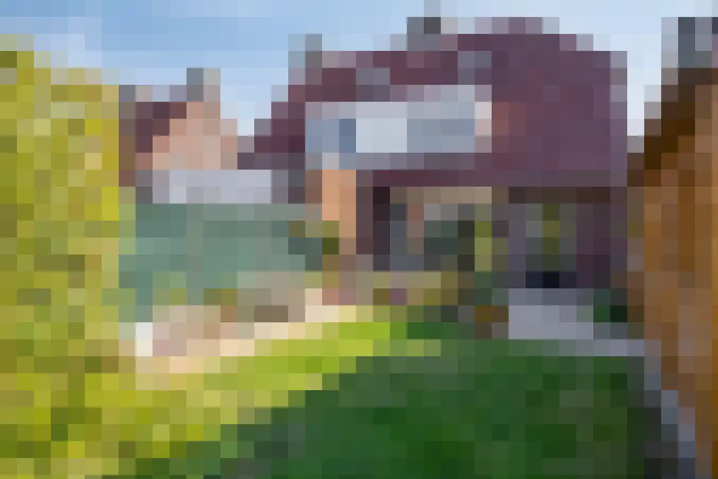 D'n Duyp 8 Moergestel thumbnail 29