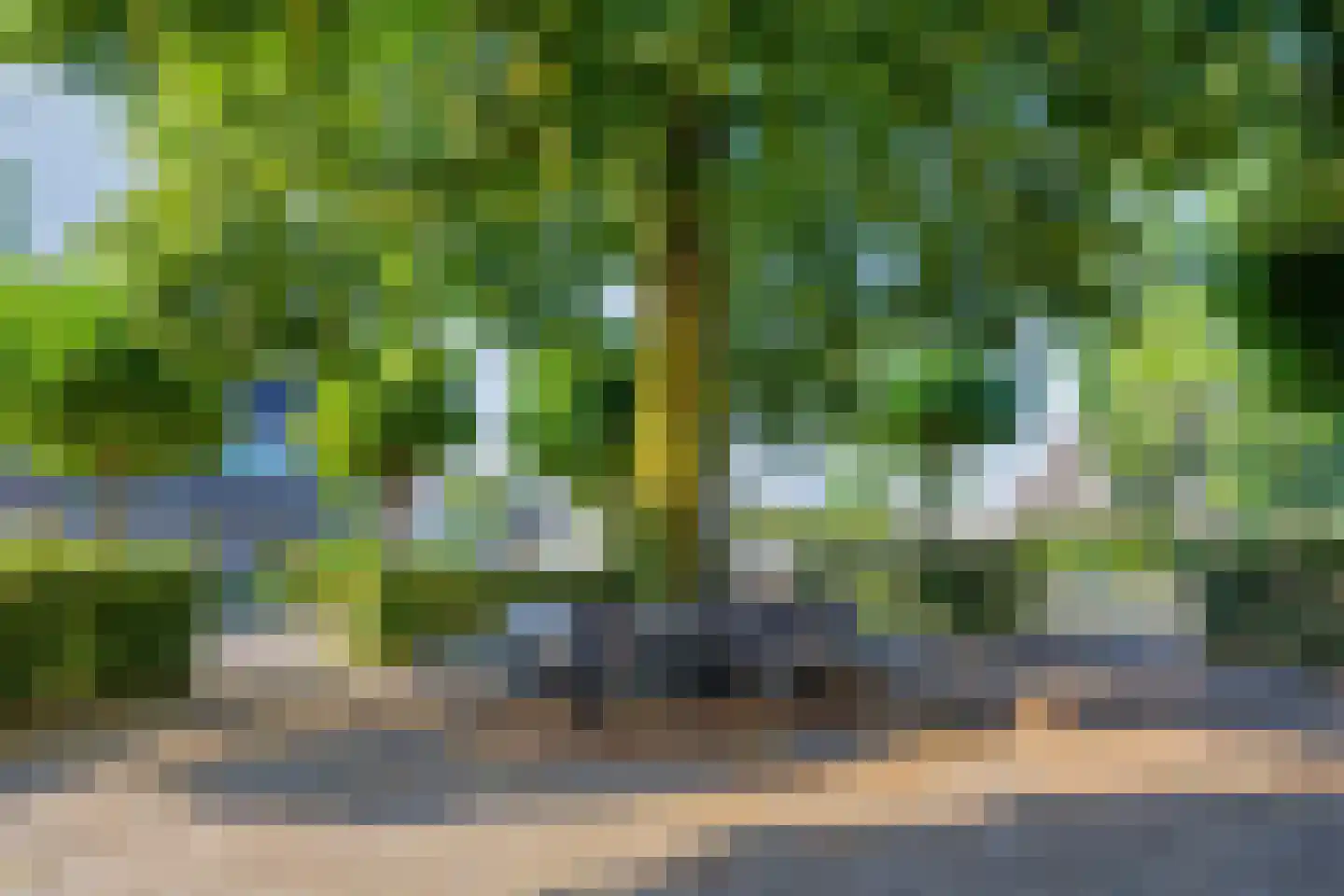 D'n Duyp 8 Moergestel thumbnail 33