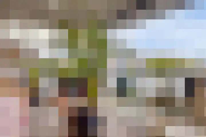 d'n Entrepot 4 Boxmeer thumbnail 11