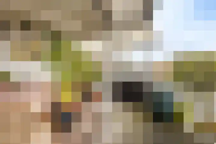 d'n Entrepot 4 Boxmeer thumbnail 12