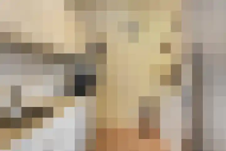 d'n Entrepot 4 Boxmeer thumbnail 13