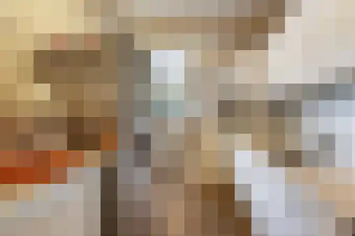 d'n Entrepot 4 Boxmeer thumbnail 14