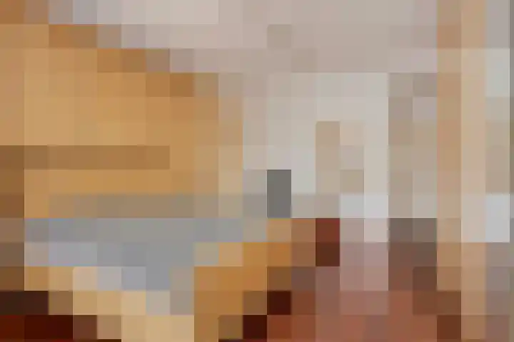 d'n Entrepot 4 Boxmeer thumbnail 17