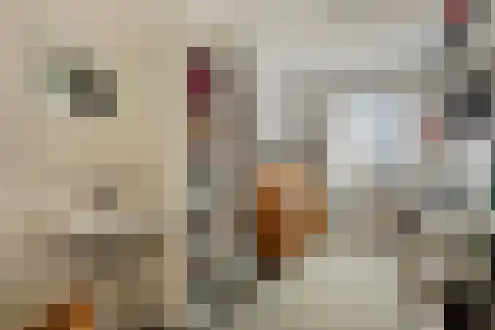 d'n Entrepot 4 Boxmeer thumbnail 18