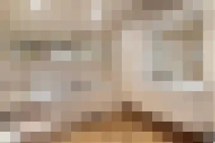 d'n Entrepot 4 Boxmeer thumbnail 19