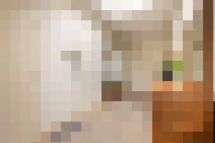 d'n Entrepot 4 Boxmeer thumbnail 22
