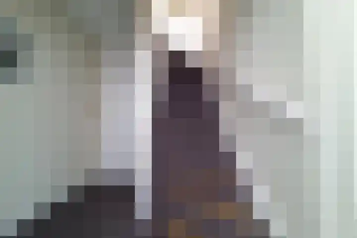 d'n Entrepot 4 Boxmeer thumbnail 26