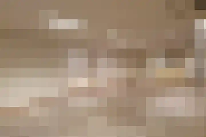 d'n Entrepot 4 Boxmeer thumbnail 29