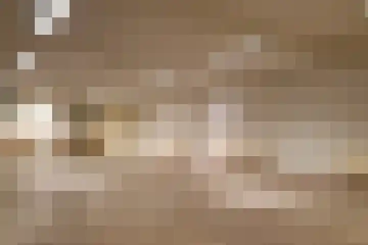 d'n Entrepot 4 Boxmeer thumbnail 30
