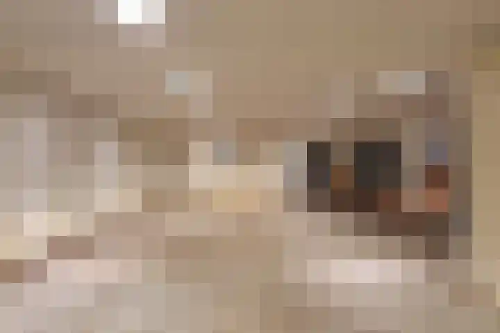 d'n Entrepot 4 Boxmeer thumbnail 31
