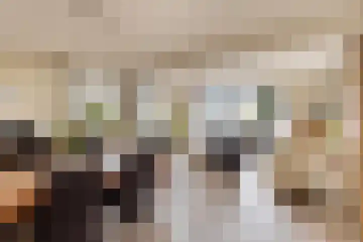 d'n Entrepot 4 Boxmeer thumbnail 4