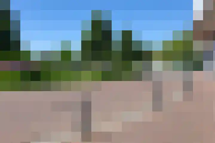 d'n Entrepot 4 Boxmeer thumbnail 41