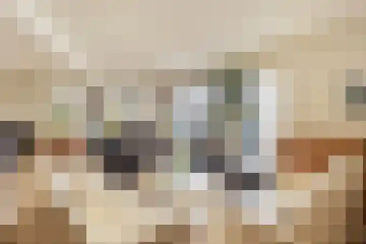 d'n Entrepot 4 Boxmeer thumbnail 5