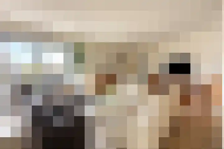 d'n Entrepot 4 Boxmeer thumbnail 6