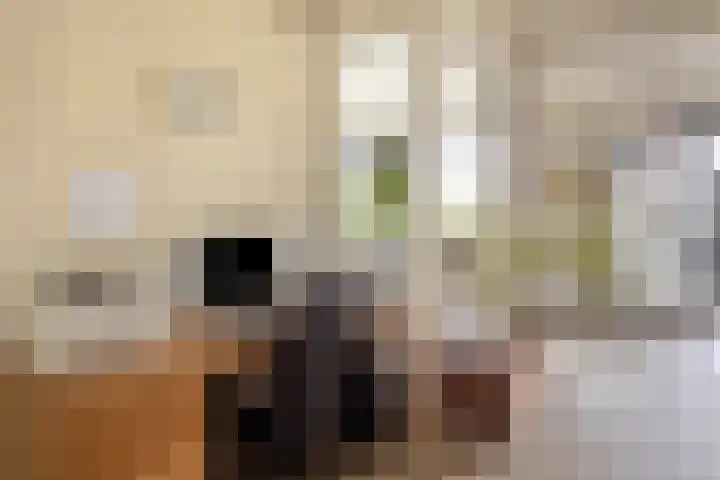 d'n Entrepot 4 Boxmeer thumbnail 9