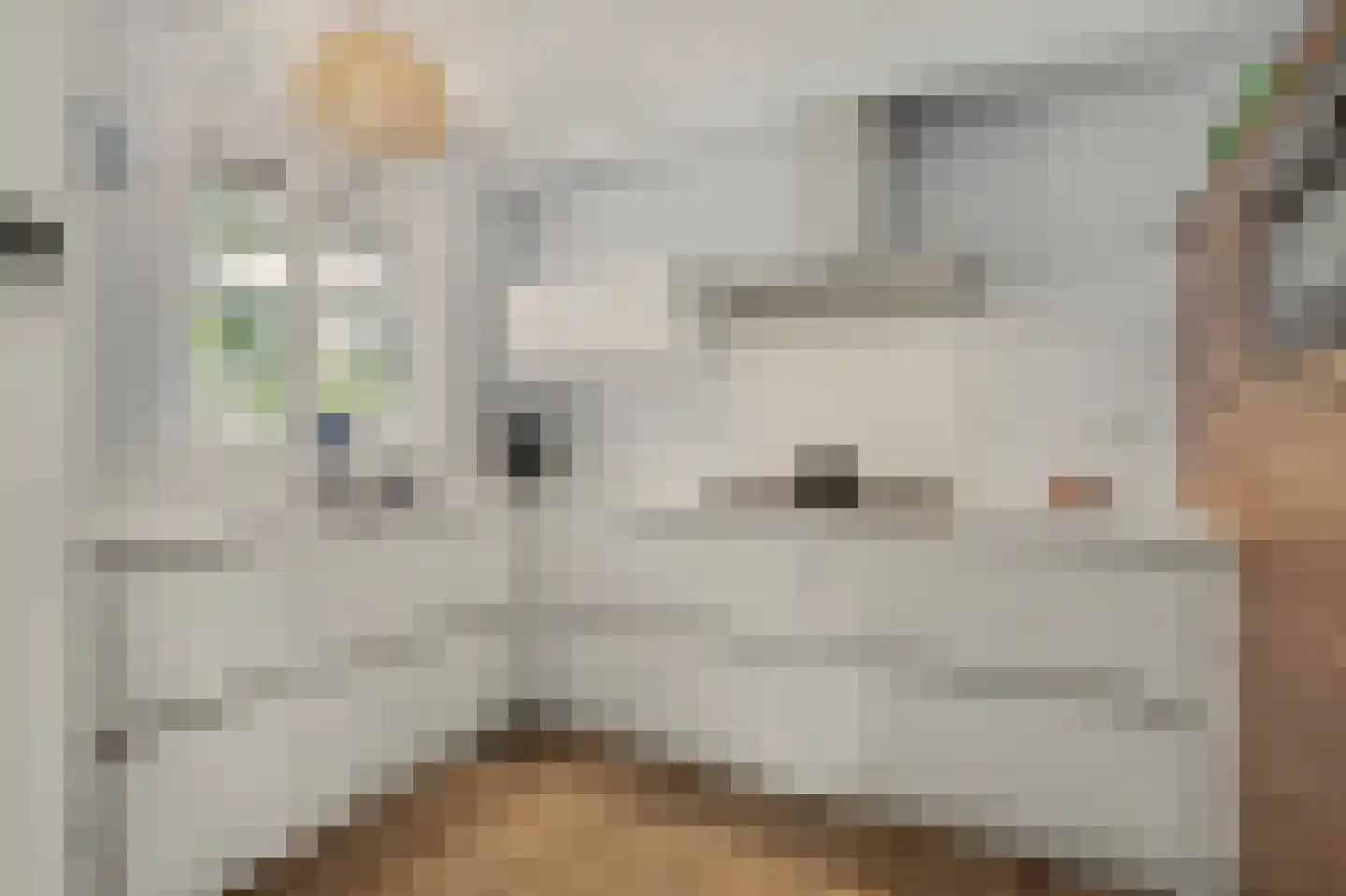 D'n Grote Aard 15 Vessem thumbnail 19