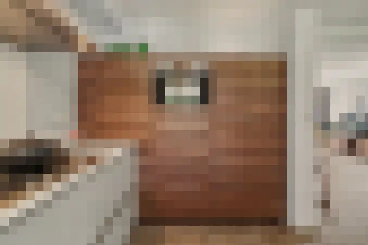 D'n Grote Aard 15 Vessem thumbnail 21