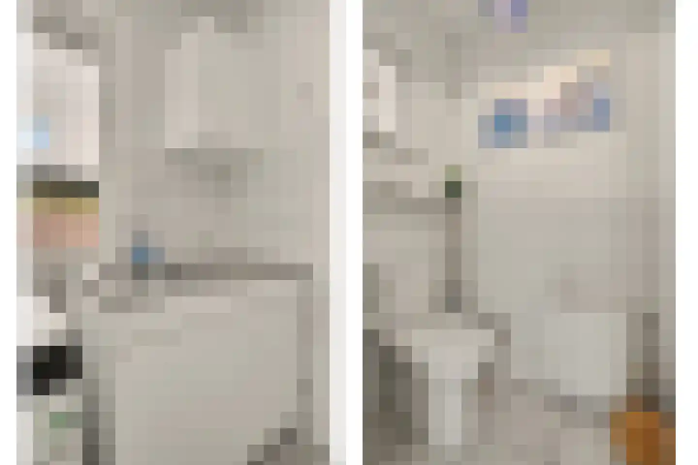 D'n Grote Aard 15 Vessem thumbnail 27